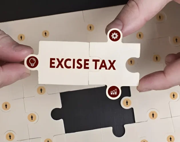 Excise Goods Business Setup Advisory
