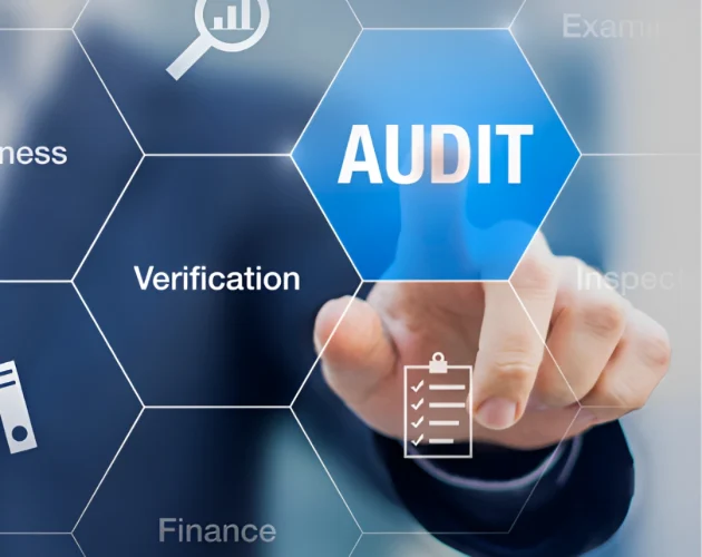 Internal Audit Service
